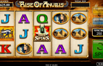 Nine Casino Slots Beispiel